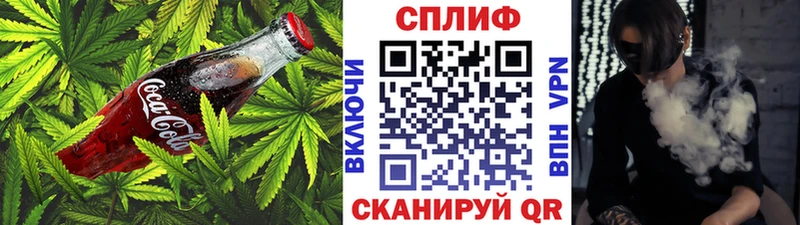 Cannafood марихуана Камызяк